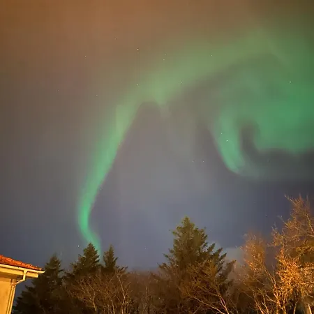 Casa Disa - A Boutique In City's Park And Botanical Garden In Laugardalur, Hot-spring-valley Appartement Reykjavik